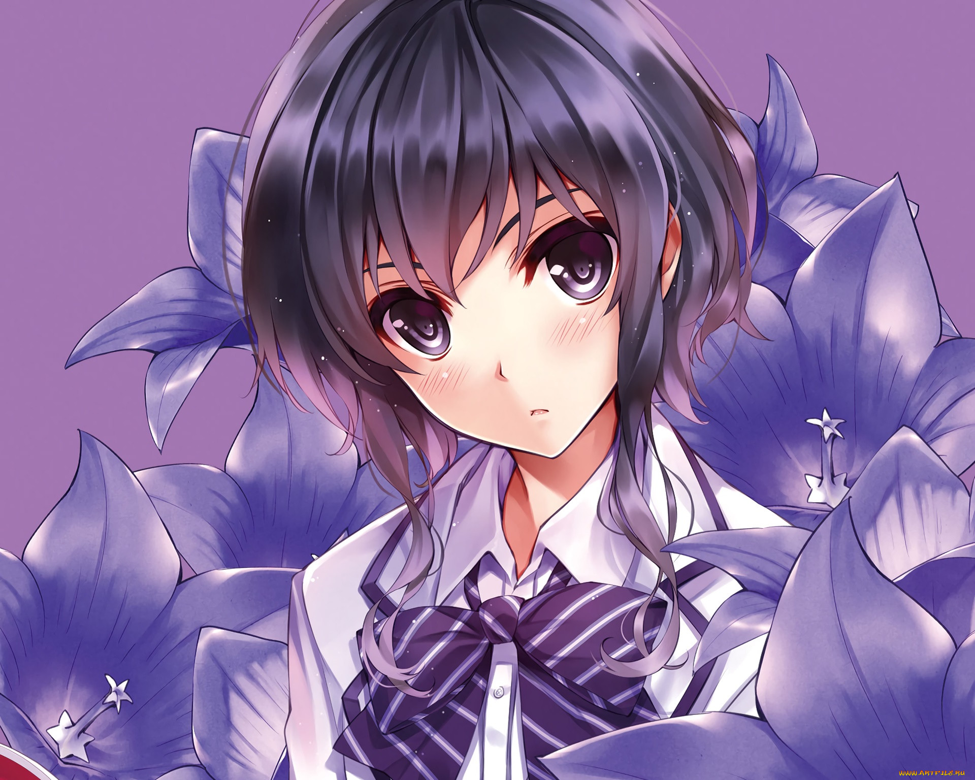 , saenai heroine no sodatekata, , , 
